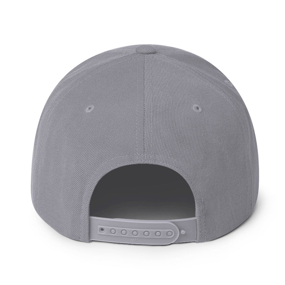Snapback Silver Back Blue image 7