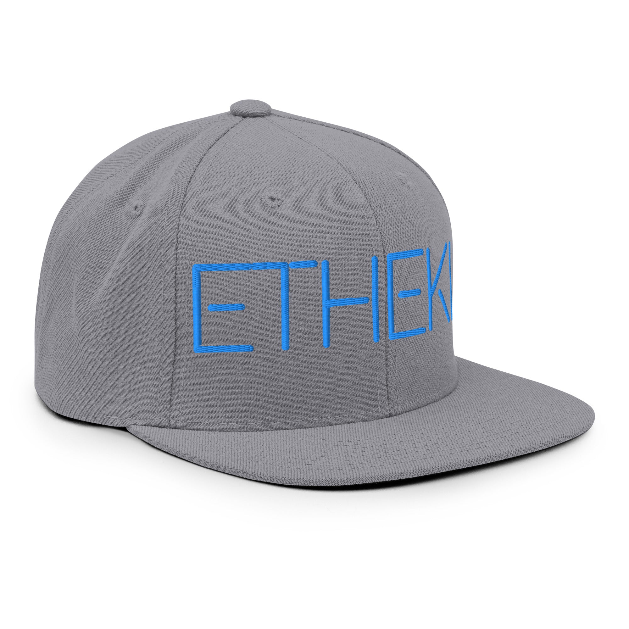 Snapback Silver Back Blue image 2